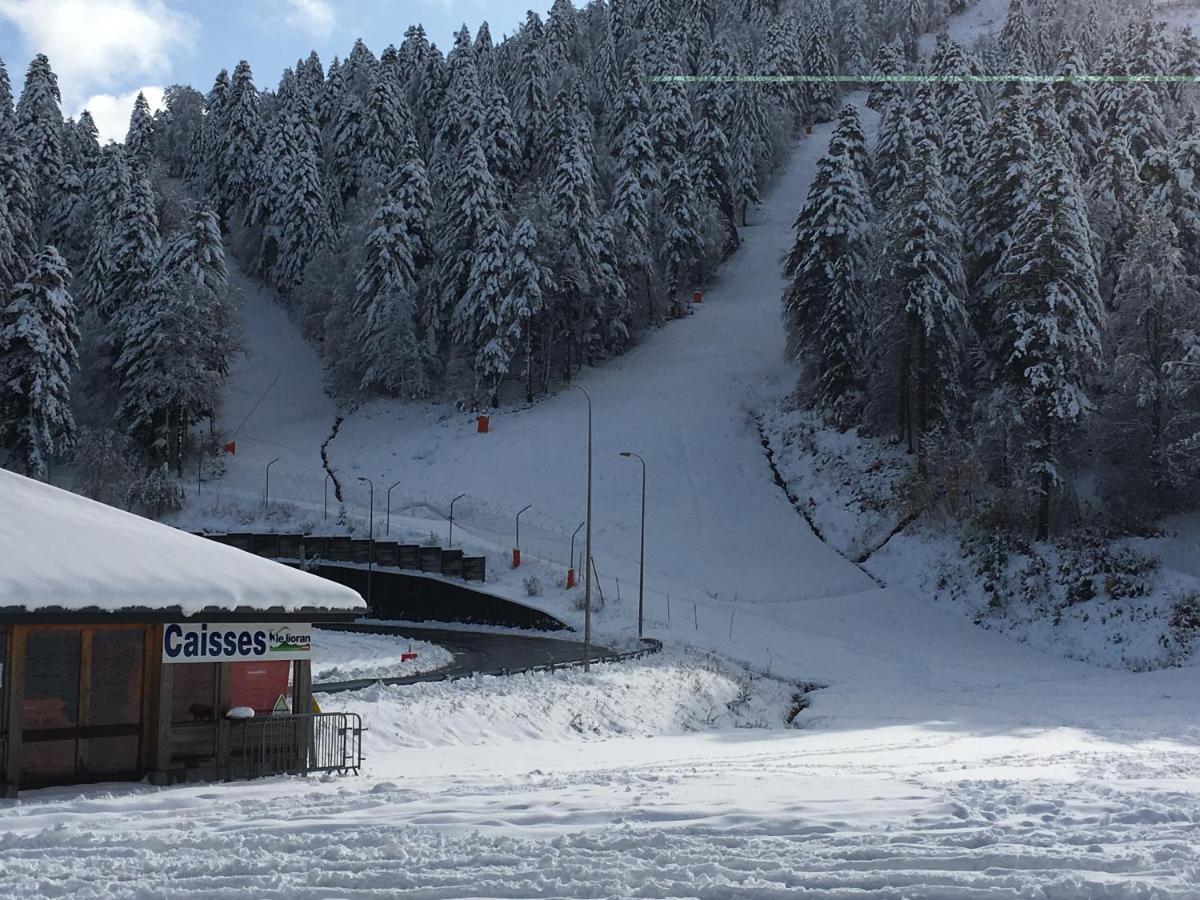 Le Lioran Studio Les Myrtilles A 200M Des Pistes 외부 사진