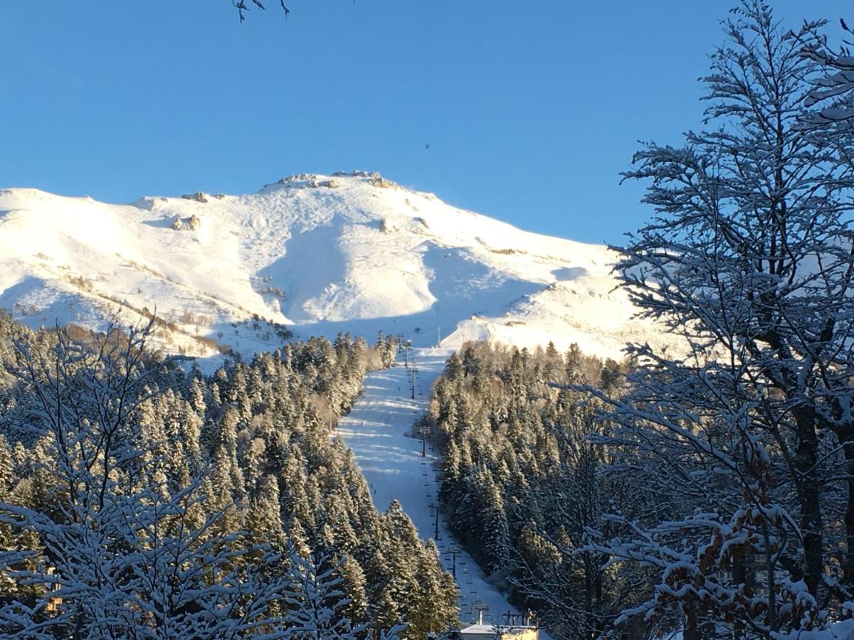 Le Lioran Studio Les Myrtilles A 200M Des Pistes 외부 사진