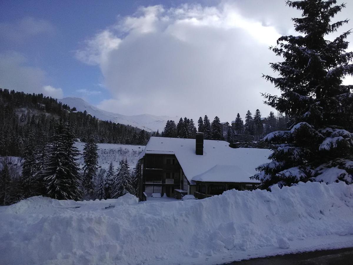 Le Lioran Studio Les Myrtilles A 200M Des Pistes 외부 사진