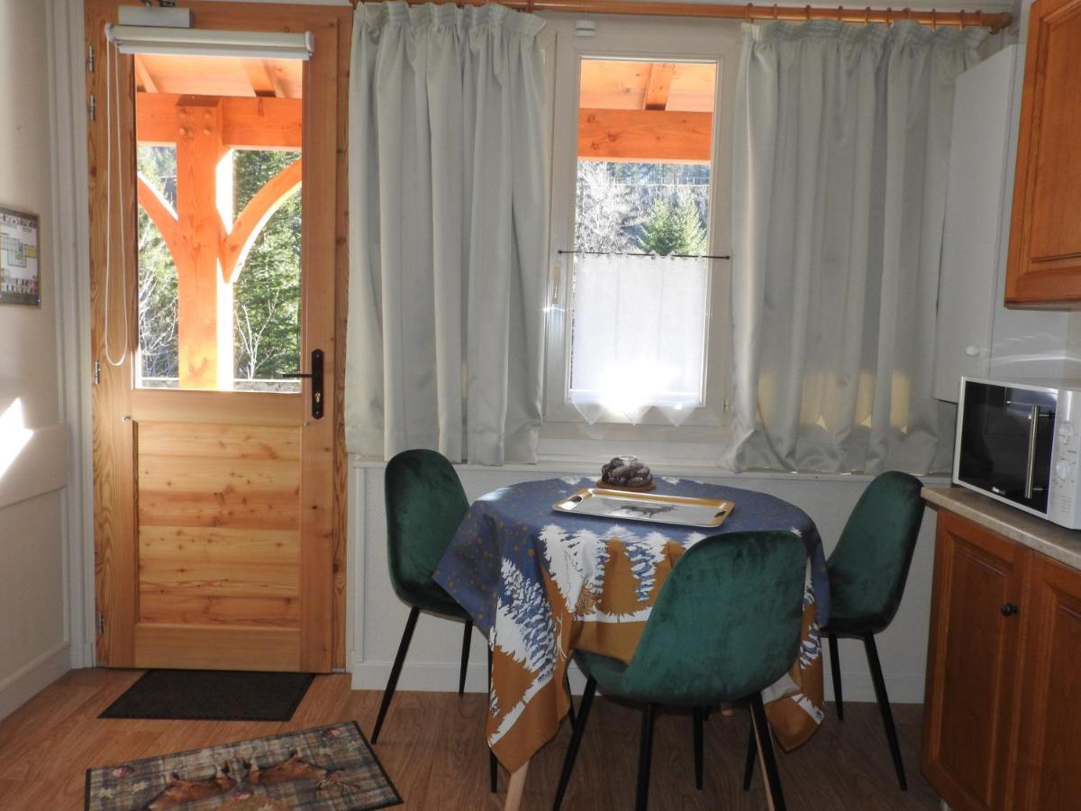 Le Lioran Studio Les Myrtilles A 200M Des Pistes 외부 사진