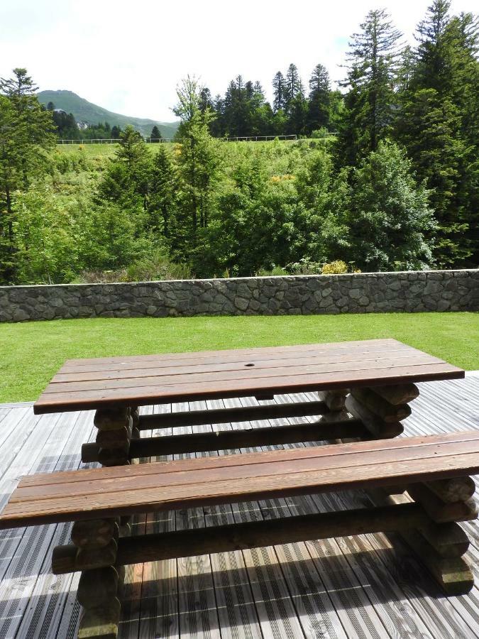 Le Lioran Studio Les Myrtilles A 200M Des Pistes 외부 사진